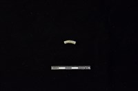 陶環藏品圖，第1張